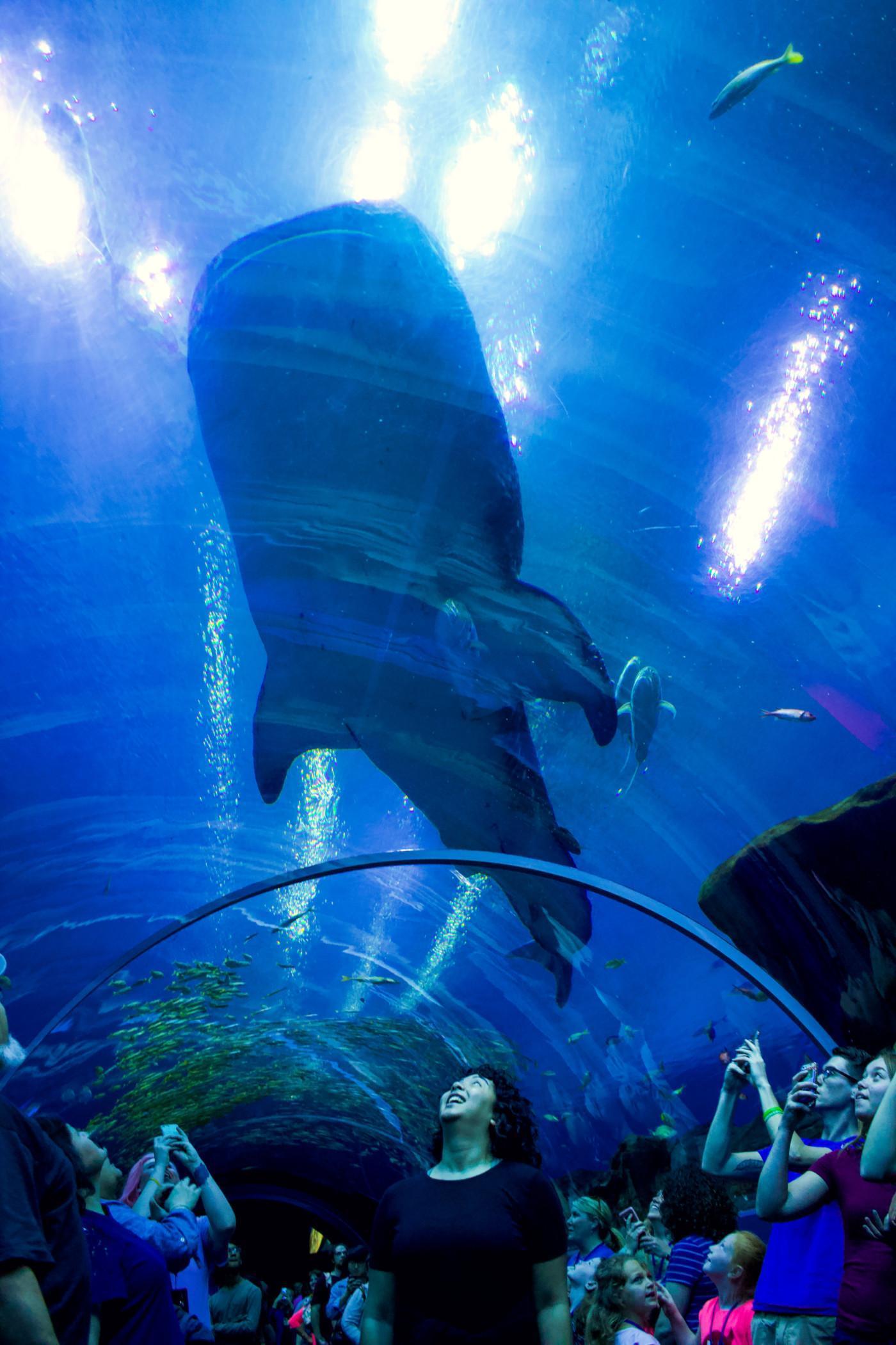 Zoos